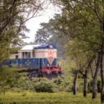 A Complete Guide to Changi Airport Dining Options